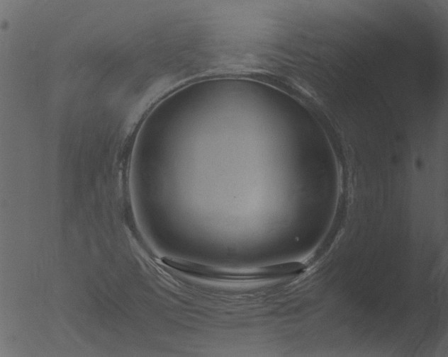 X0000053071459200507181613