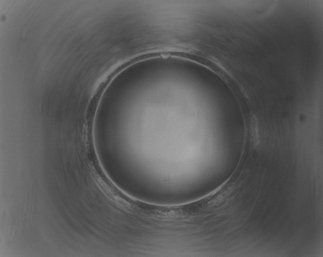 X0000053071460200507181613