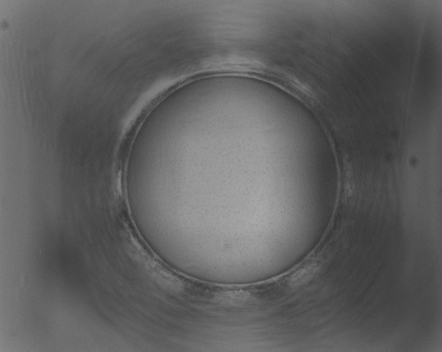 X0000053071462200507181613