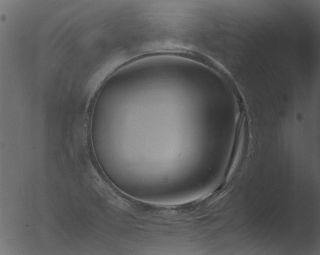 X0000053071463200507181613