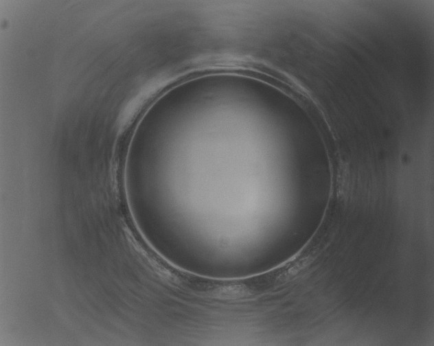 X0000053071464200507181613