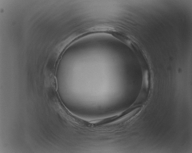 X0000053071465200507181613