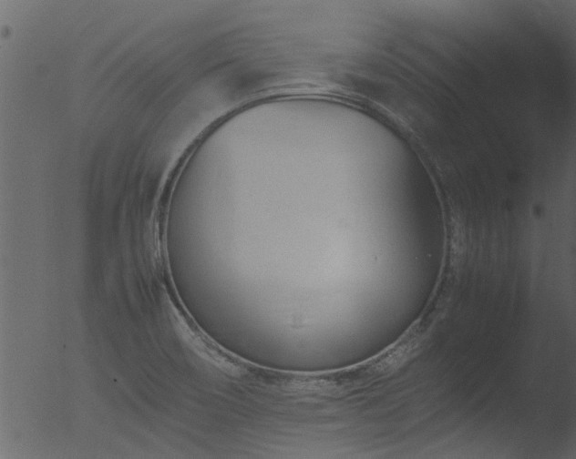 X0000053071466200507181613