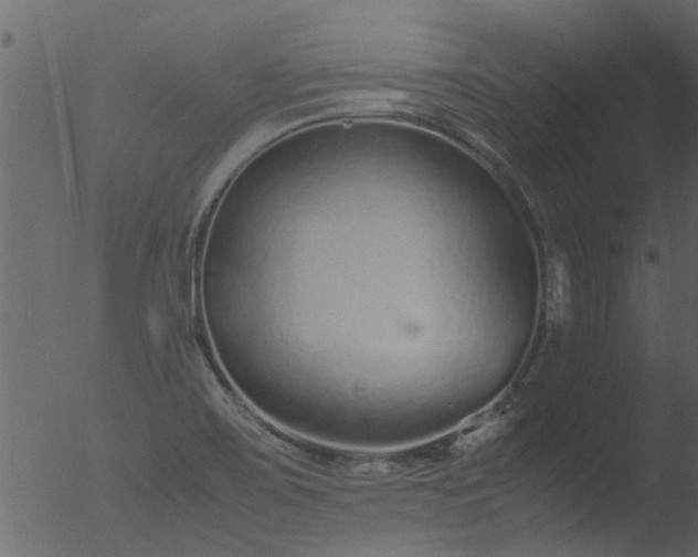 X0000053071467200507181613