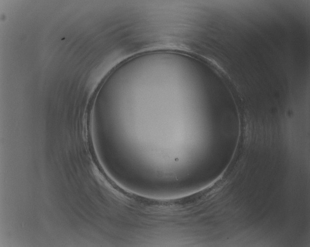 X0000053071468200507181613