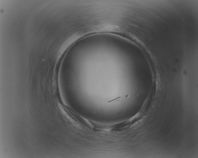 X0000053071469200507181613