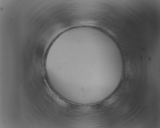 X0000053071470200507181613