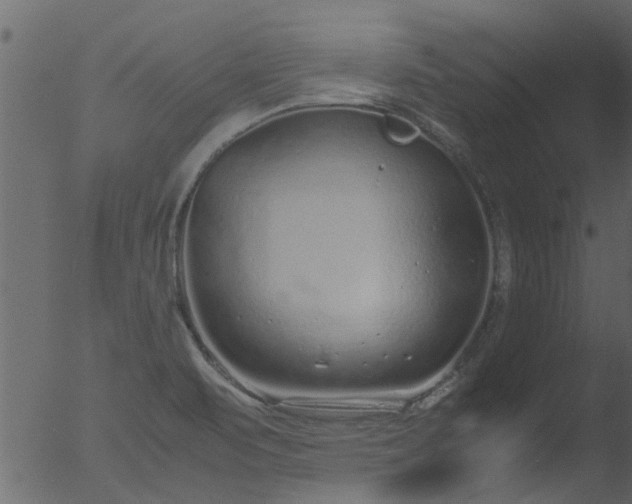 X0000053071471200507181613