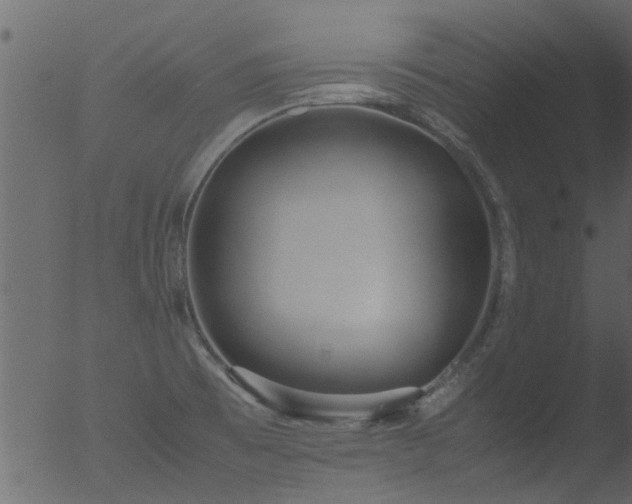 X0000053071473200507181613