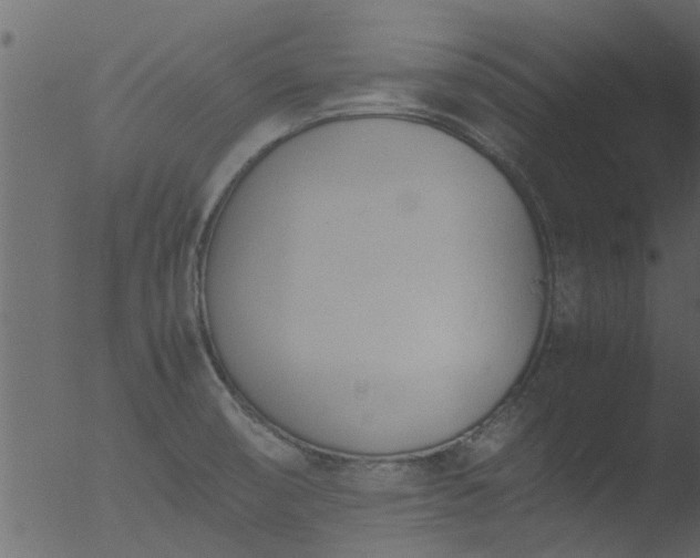 X0000053071474200507181613