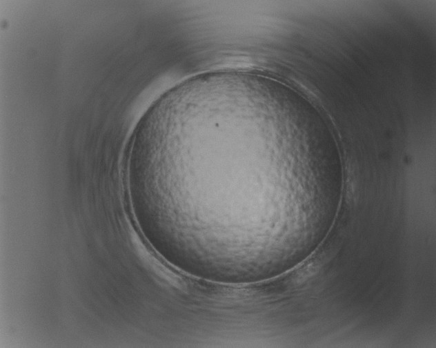 X0000053071475200507181613