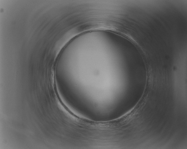 X0000053071476200507181613