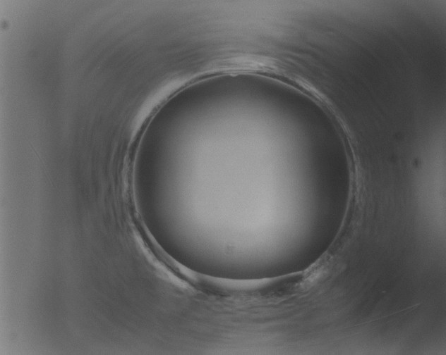 X0000053071477200507181613