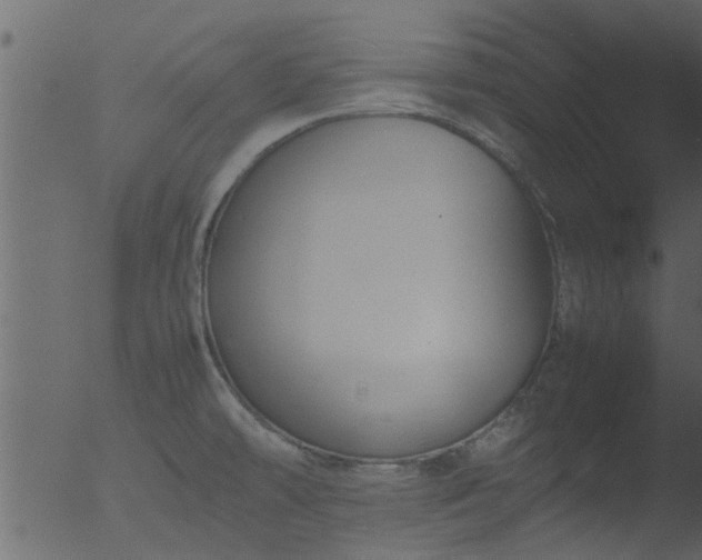 X0000053071478200507181613