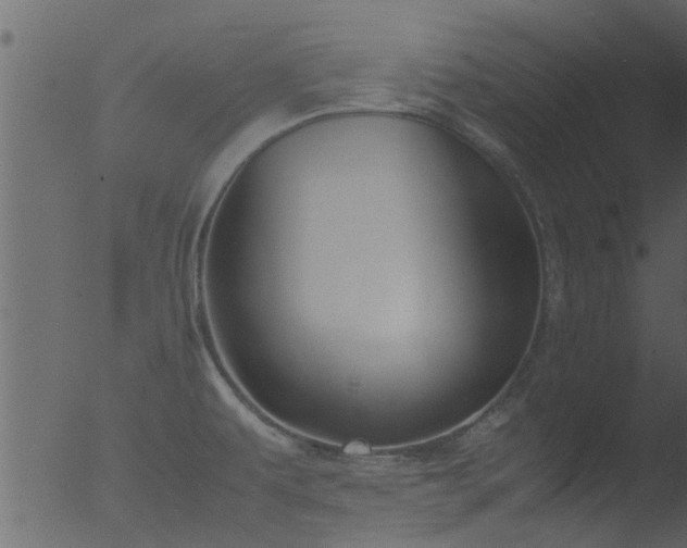 X0000053071479200507181613