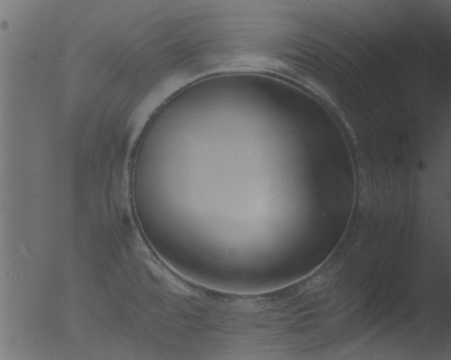 X0000053071480200507181613