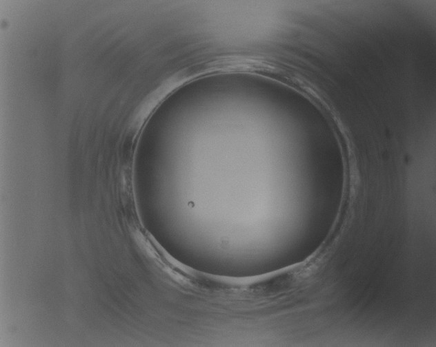 X0000053071481200507181613