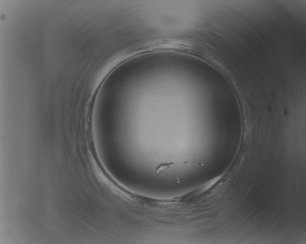 X0000053071483200507181613