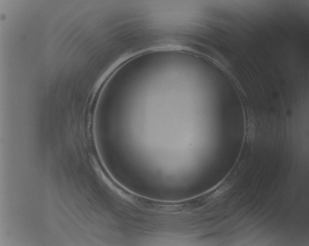 X0000053071484200507181613