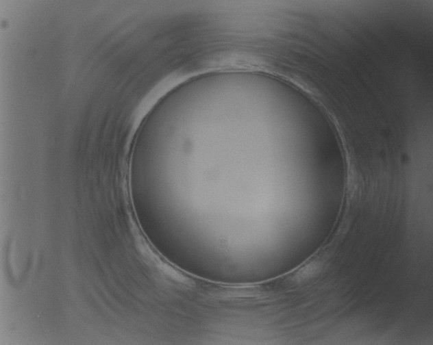 X0000053071486200507181613