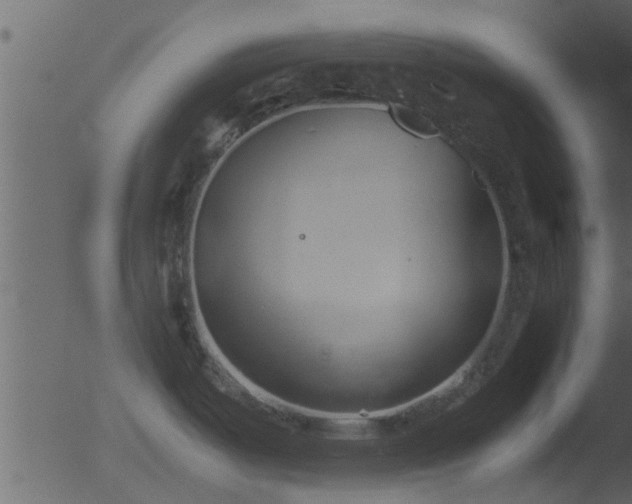 X0000053071487200507181613