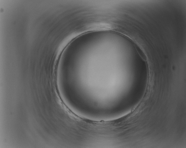 X0000053071488200507181613