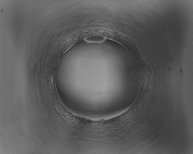 X0000053071489200507181612