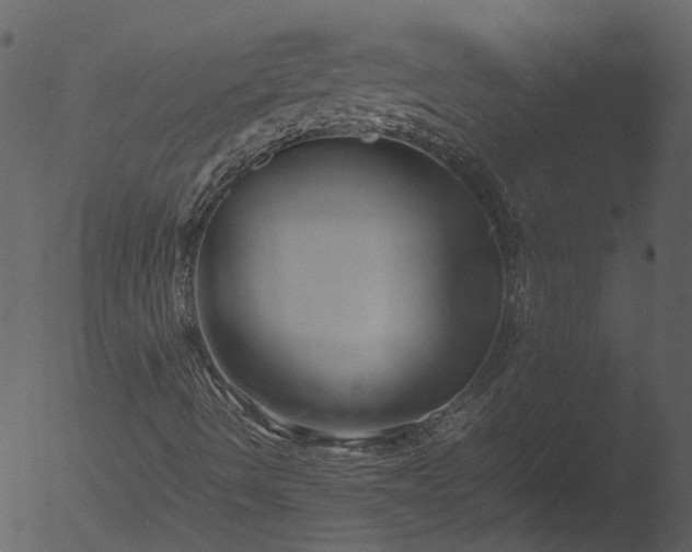 X0000053071490200507181612