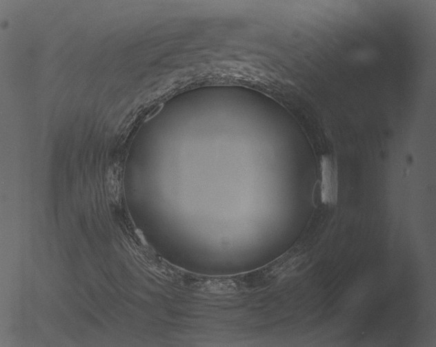 X0000053071491200507181612