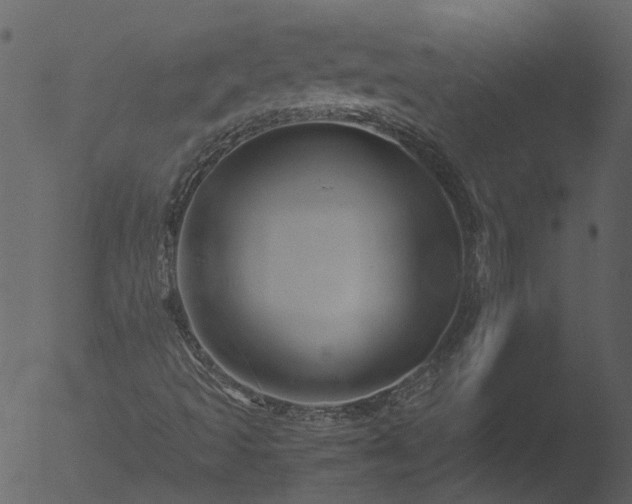 X0000053071493200507181612