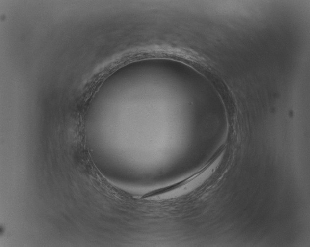 X0000053071494200507181612