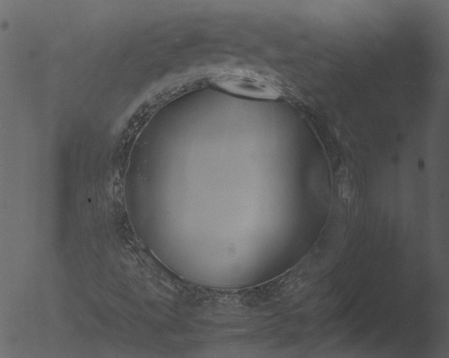 X0000053071495200507181612