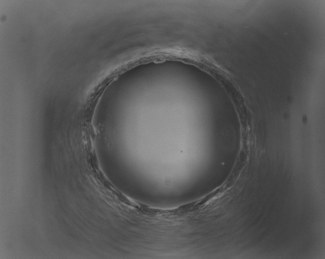 X0000053071496200507181612