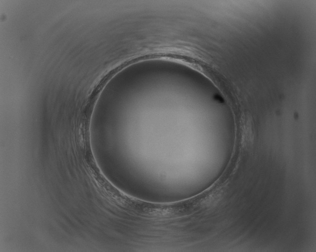 X0000053071497200507181612