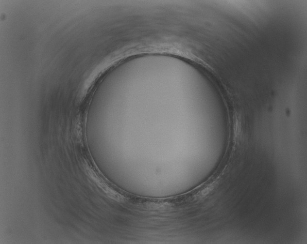 X0000053071498200507181612