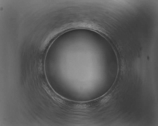 X0000053071499200507181612