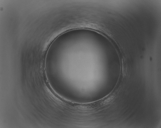 X0000053071500200507181612