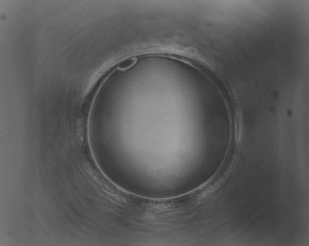 X0000053071501200507181612