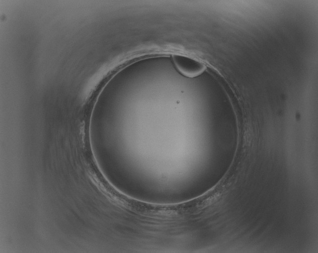 X0000053071503200507181612