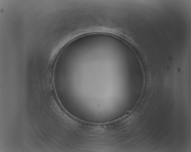 X0000053071504200507181612