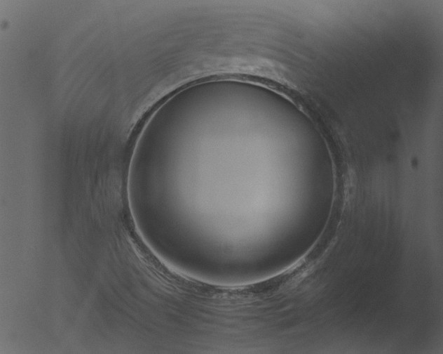 X0000053071505200507181612