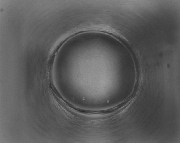 X0000053071506200507181612