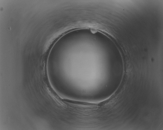 X0000053071507200507181612