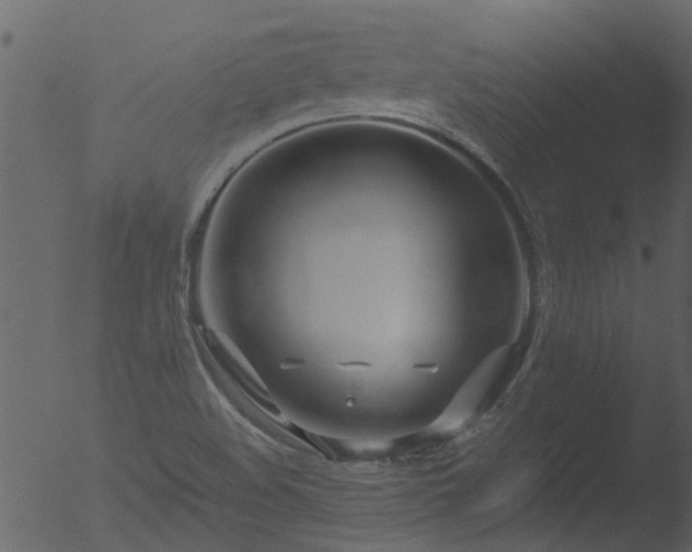 X0000053071508200507181612