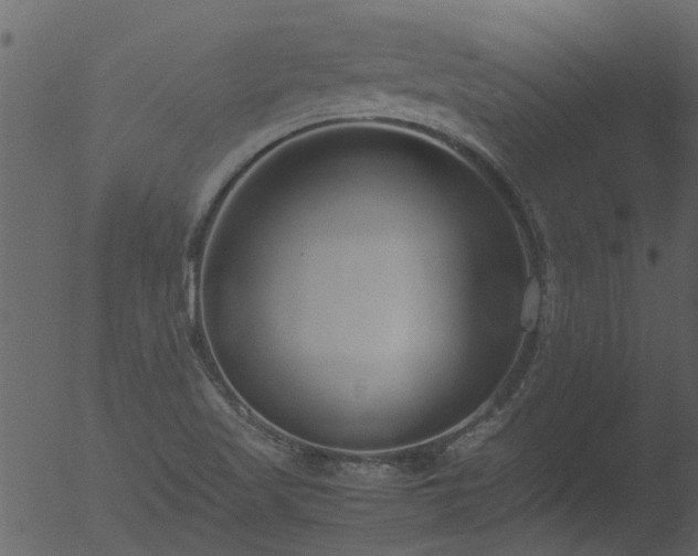 X0000053071509200507181612