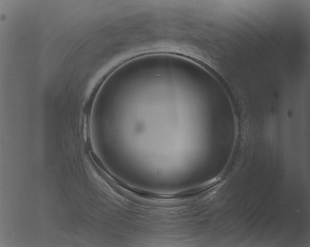 X0000053071510200507181612