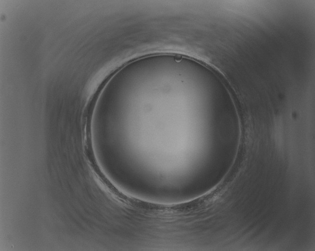 X0000053071511200507181612