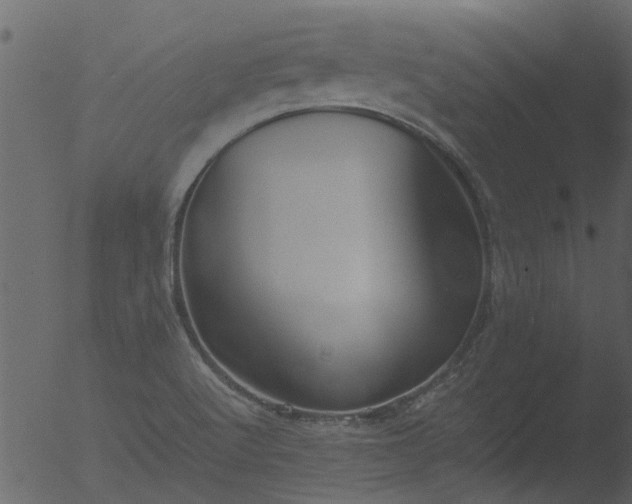 X0000053071512200507181612