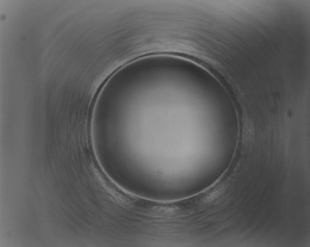 X0000053071513200507181612