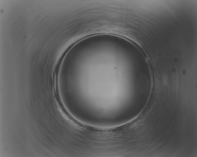 X0000053071515200507181613